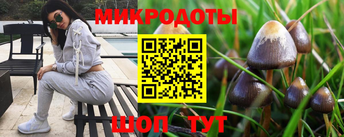 Псилоцибиновые грибы Psilocybine cubensis Звенигород